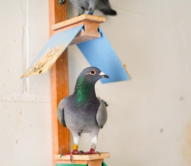 而是互补成, 这才是真功