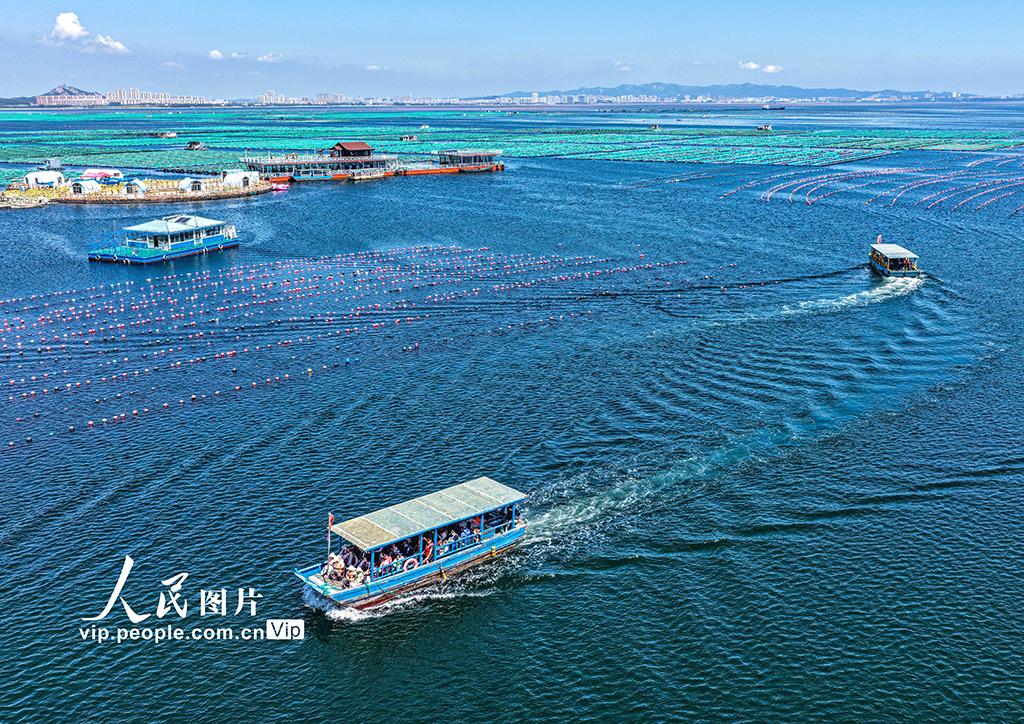 img, img, 李信君摄 img, img, 李信君摄