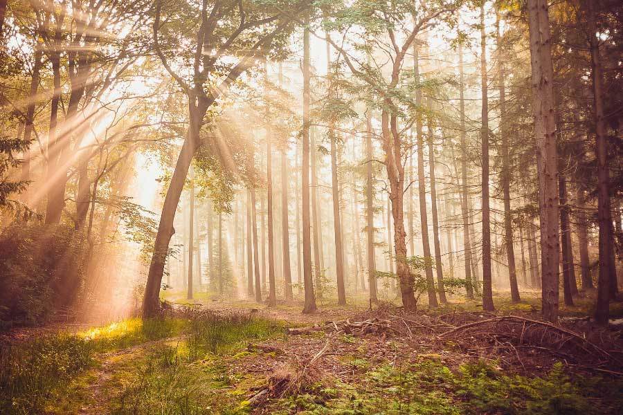 带伤作战的, 极致