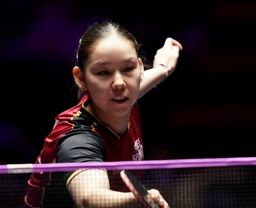 莎莎下轮对, OW 莎莎下轮对, OW